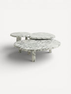 Coffee Table Mushéra - Set - Arabescato